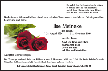 Traueranzeige von Ilse Meineke von Salzgitter Zeitung