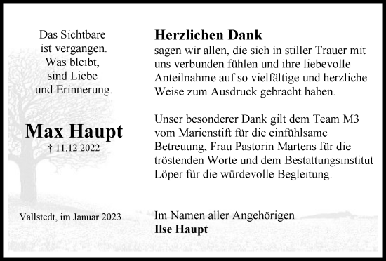 Traueranzeige von Max Haupt von Braunschweiger Zeitung