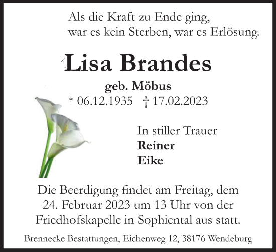 Traueranzeige von Lisa Brandes von Peiner Nachrichten