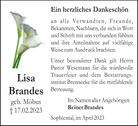 Traueranzeige von Lisa Brandes von Peiner Nachrichten