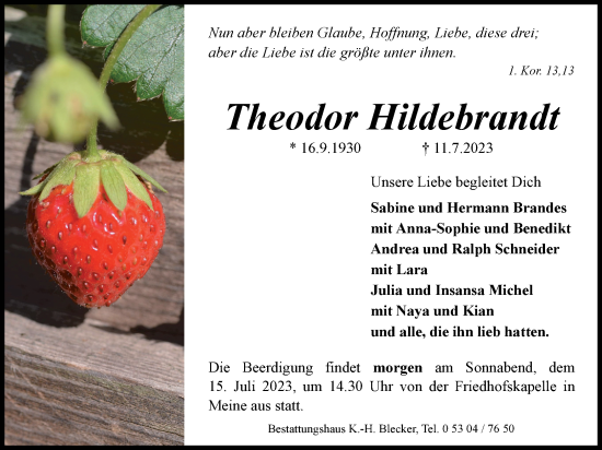 Traueranzeige von Theodor Hildebrandt von Wolfsburger Nachrichten