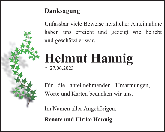 Traueranzeige von Helmut Hannig von Salzgitter-Zeitung